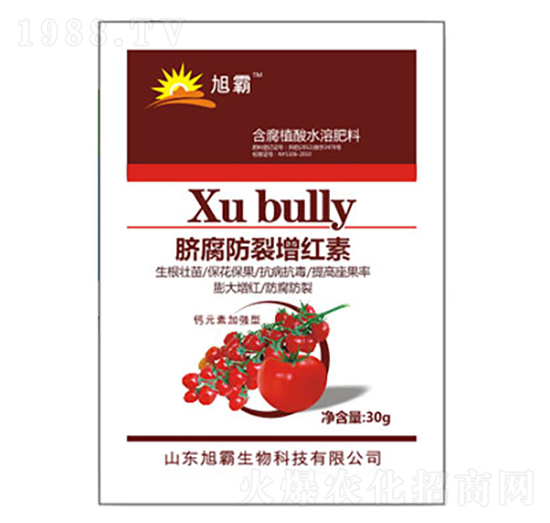 Ě���������t��-�������