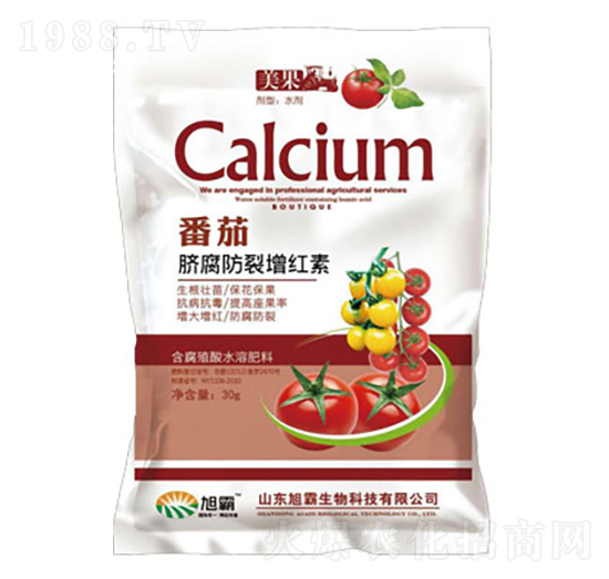 ����Ě���������t��-�������