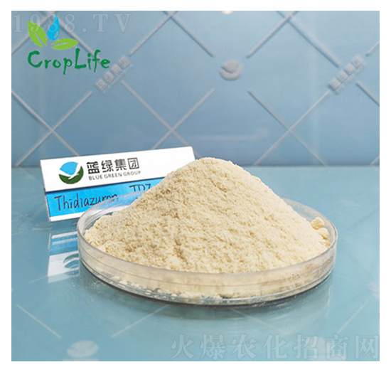 �籽¡-����˹����