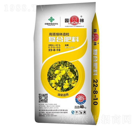 �Ͳ��m�ÏͺϷ���22-8-10-�@��-������