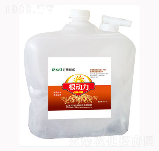 ������-��������