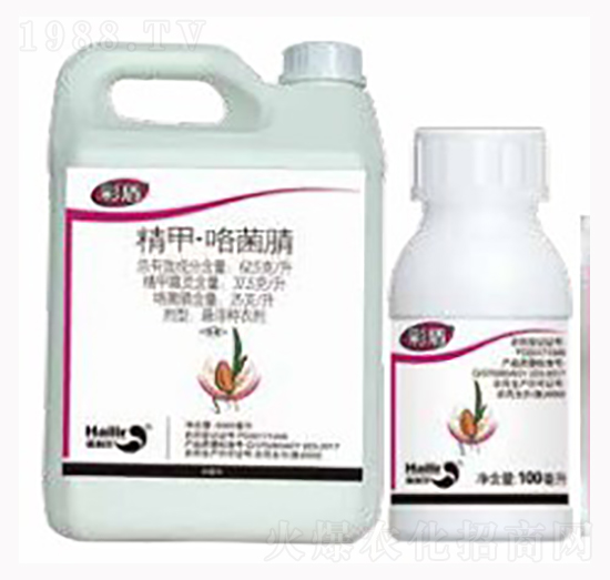 ���ס�������-�ʶ�-������