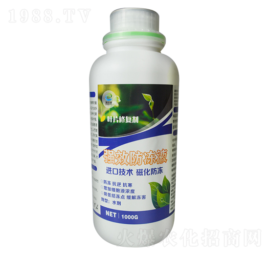 ����Һ-�֠��S