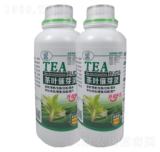 ���~��ѿ�`-�֠��S