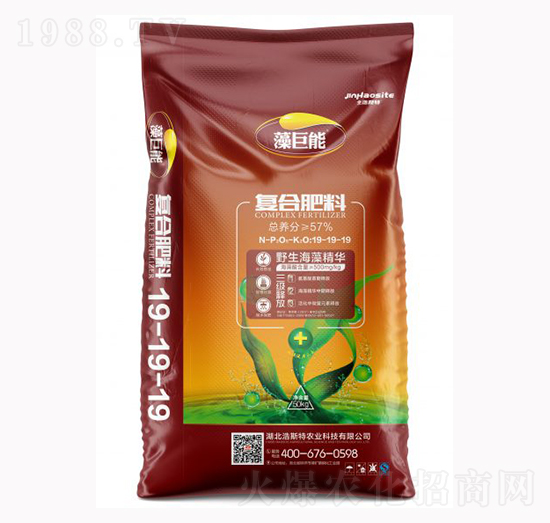 ����܏ͺϷ���19-19-19-����