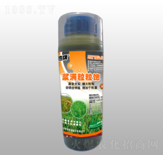 �{�M�����-ِ��r(n��ng)��