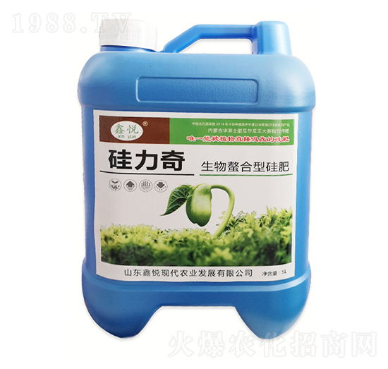 ���������͹��-������-�ΐ��r(n��ng)�I(y��)