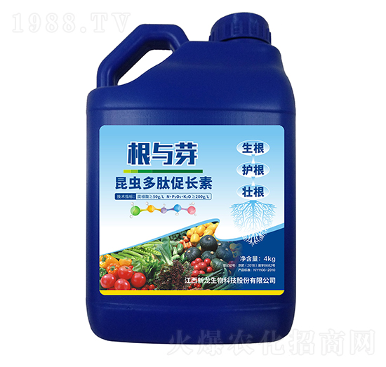 ���x(ch��ng)���Ĵ��L(zh��ng)��-���cѿ-��������