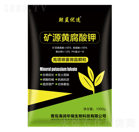 �VԴ�S�����-����(r��n)�A��