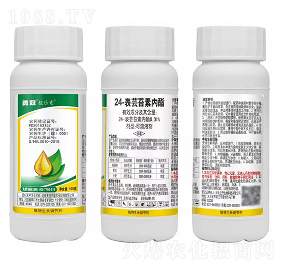 24-���|̦�؃�(n��i)������Һ��-ֲ��(l��)��-�¹چ̵�