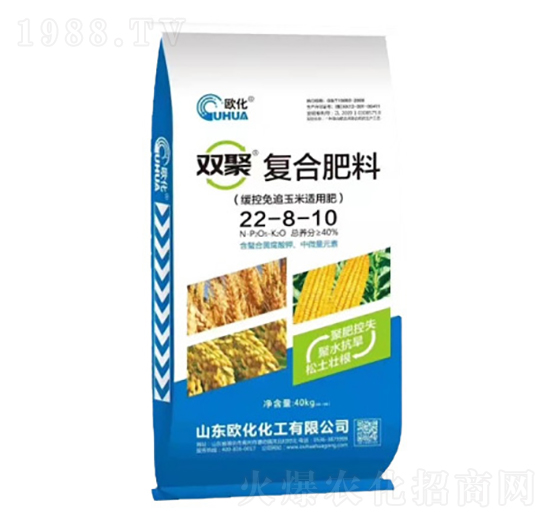 �p�ۏͺϷ���22-8-10-�W��