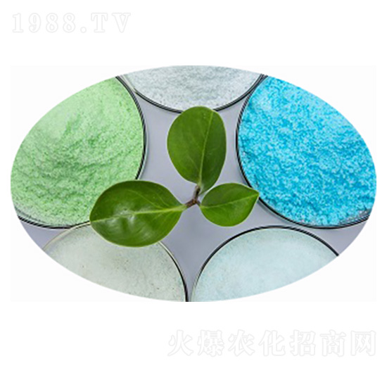 氮磷鉀肥料19-19-19+TE-愛格思達(dá)