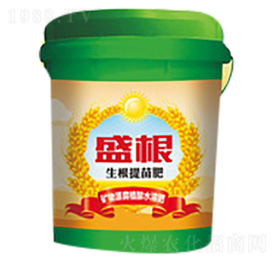 ���������-ʢ��-�̵�