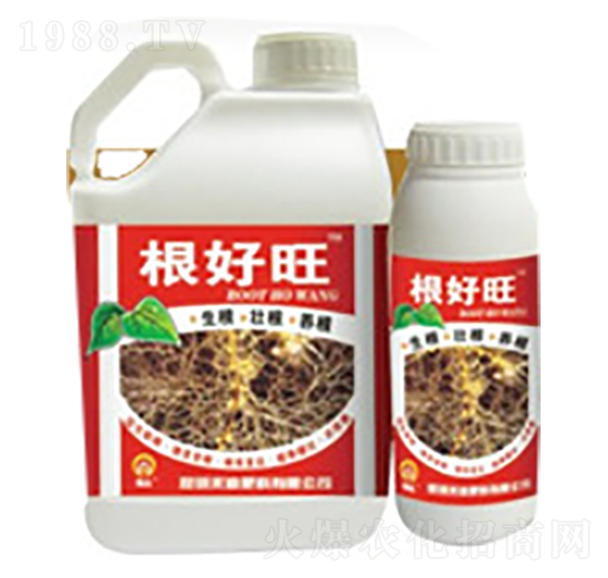 ������-�̵�