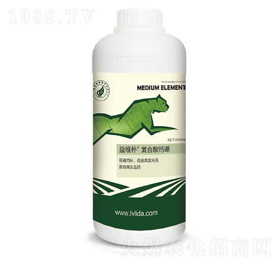 ��S��ͺ����}��-���}