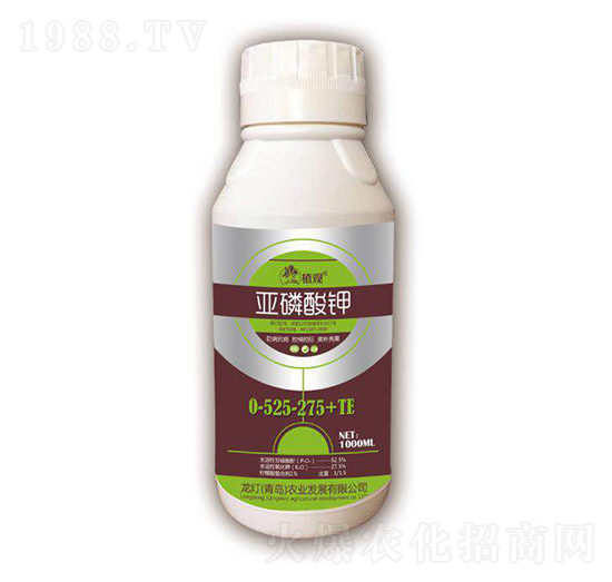 �������0-525-275+TE-ֲ�^-�����r�I(y��)