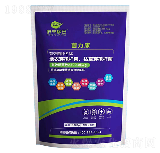 ������-�z�����-���z��