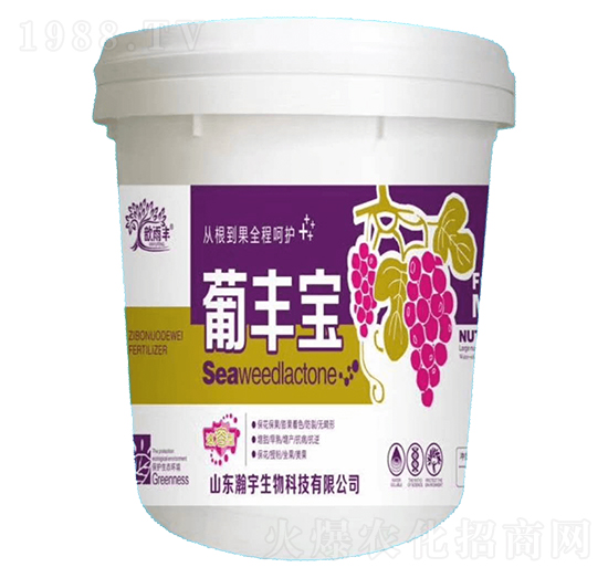 ���S��-�������