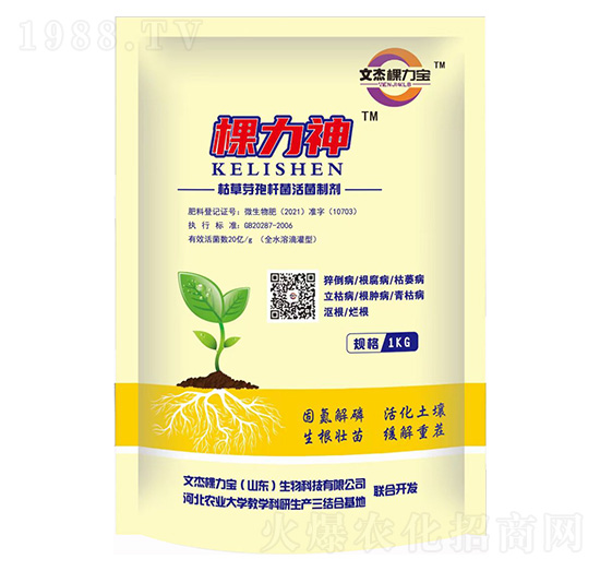 �ݲ�ѿ�ߗU������Ƅ�-������-�Ľܿ�����