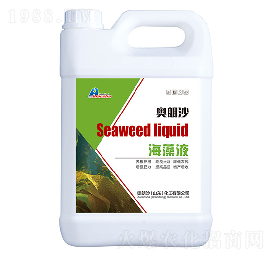 ����Һ-�W��ɳ