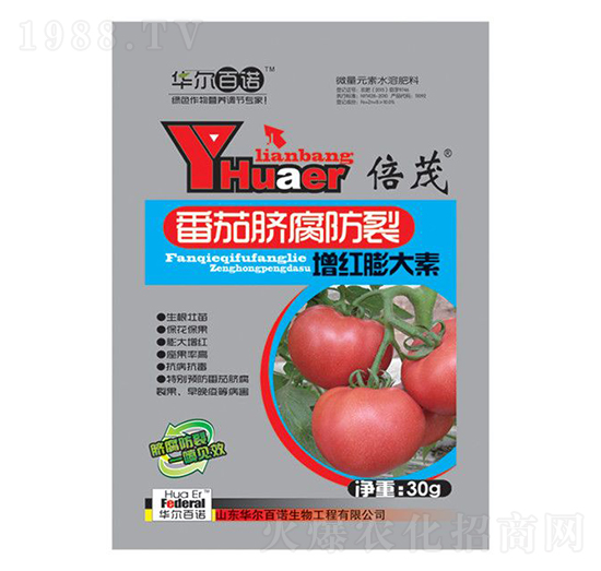 ����Ě�����щ��t�����-�A�����Z