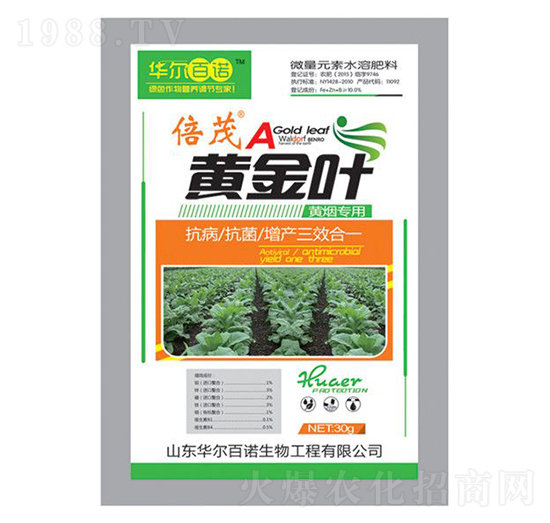 �S�������~���-�S���~-�A�����Z