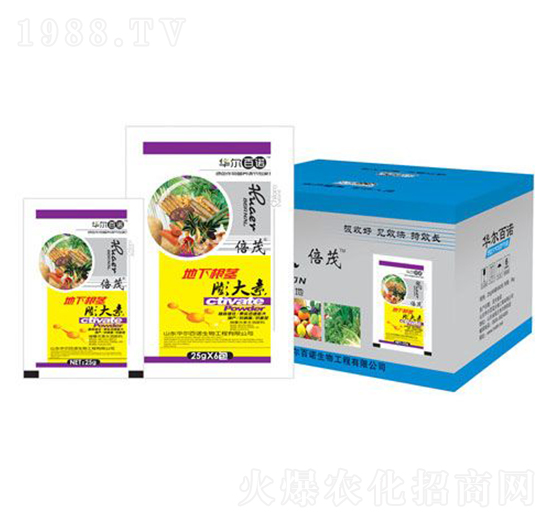 ���¸��o�����-�A�����Z