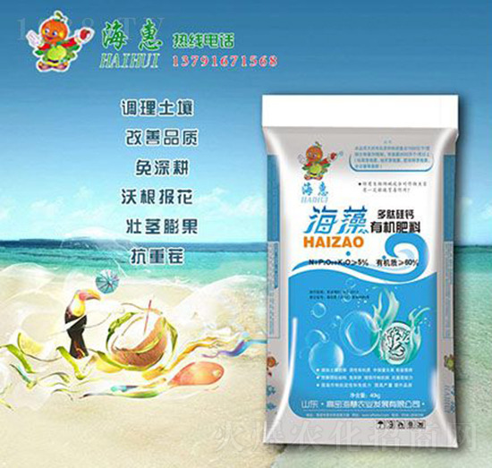 ������Ĺ��}�ЙC����-����