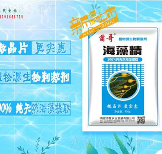 ���徫-����