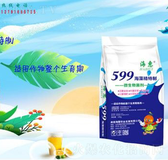 599���徫����-����