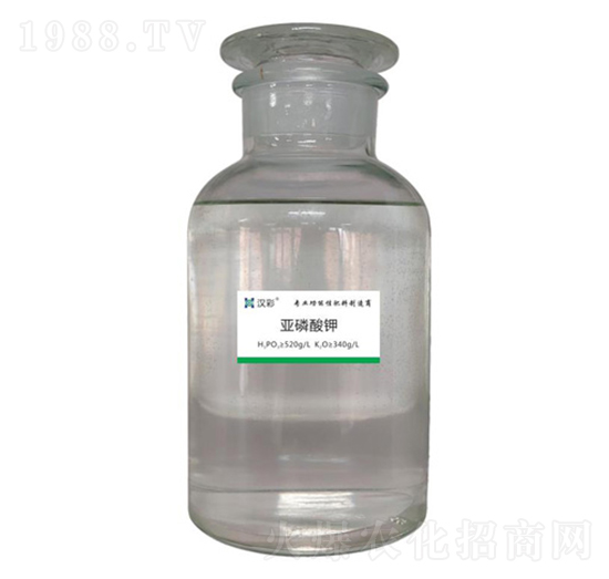 �������-�h�����B(t��i)