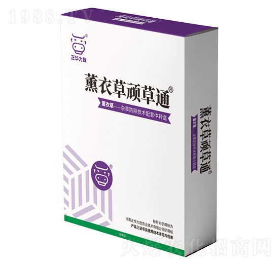 ޹�²��B��ͨ-���A����