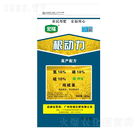 ����(d��ng)��-�������