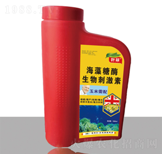 ���׌��ú��就�������aҺ-�°��~��