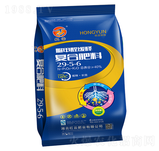 ���ȩ��ጏͺϷ���29-5-6-�t��