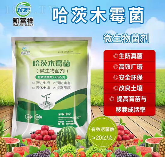 ����ľù��-�P����