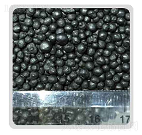 ��ֲ��-���P����