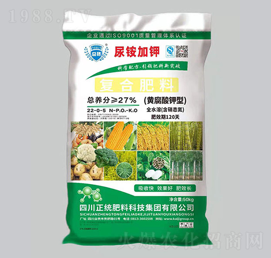 �S������͏ͺϷ���22-0-5��50���-�P������