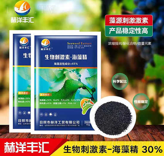 ����̼���-���徫-�����Q(m��o)