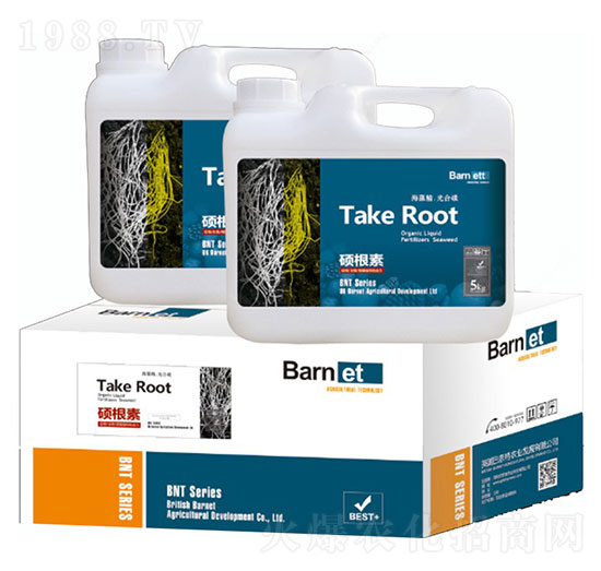 �T����-혞��r(n��ng)�I(y��)