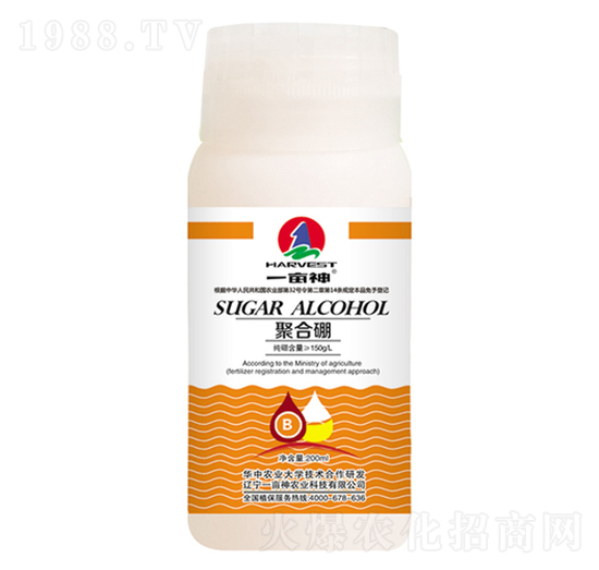 �ۺ���-һ����