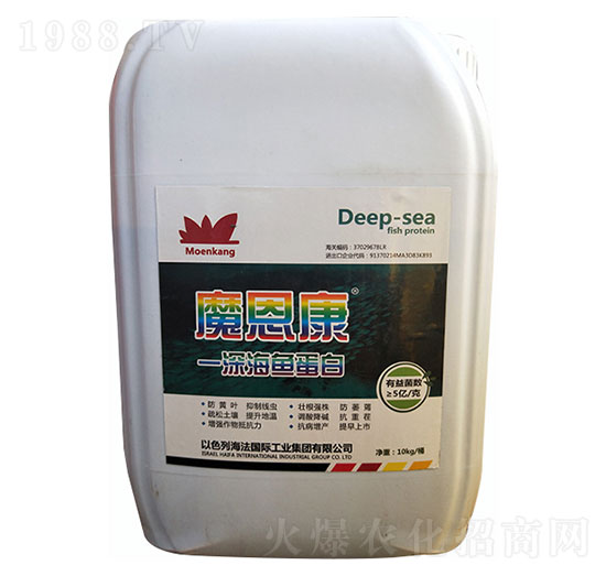 ħ��������~����-ʥ�ɶ�