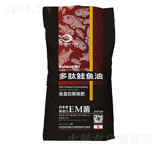 �����q�~(y��)��-ʥ�ɶ�