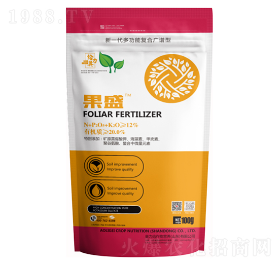 ��ʢ-�W���o