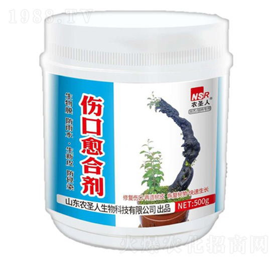 �������τ�-�r(n��ng)ʥ��