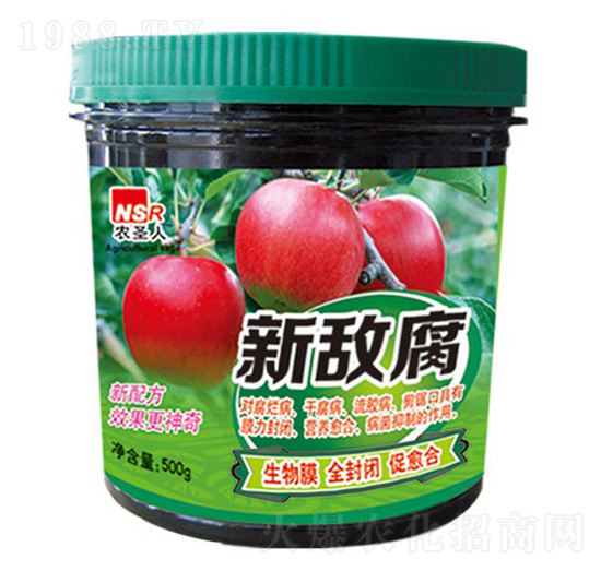 ����-�r(n��ng)ʥ��