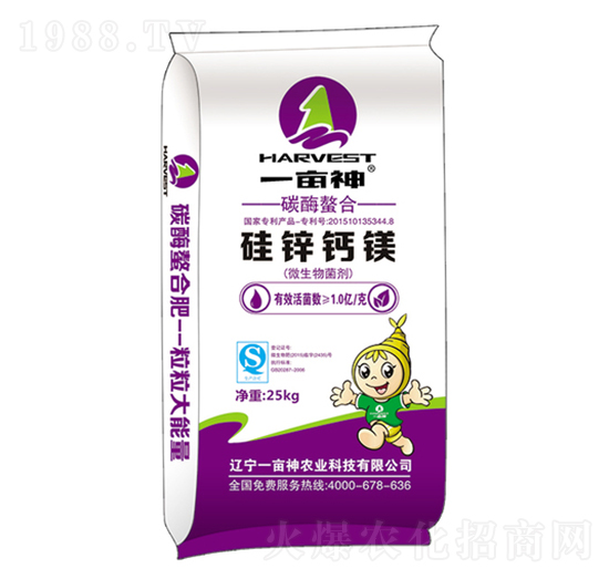 ���\�}�V-һ����