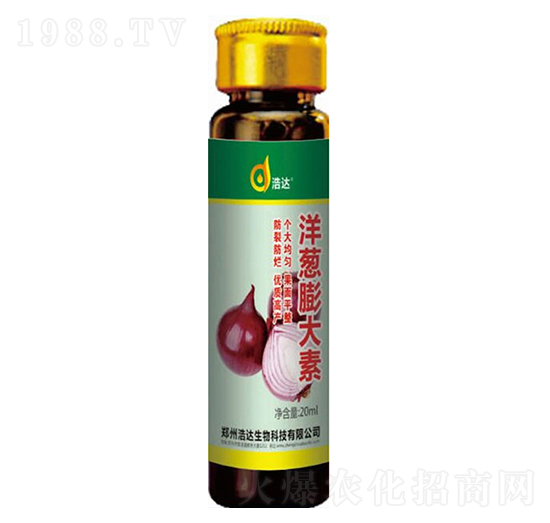 ���[�����-���_(d��)����