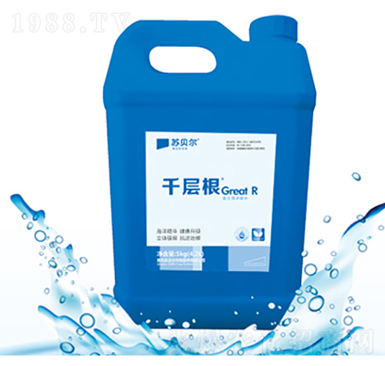 ǧ�Ӹ�-�Kؐ��