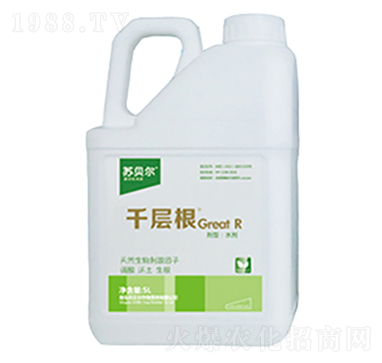 5Lǧ�Ӹ�-�Kؐ��